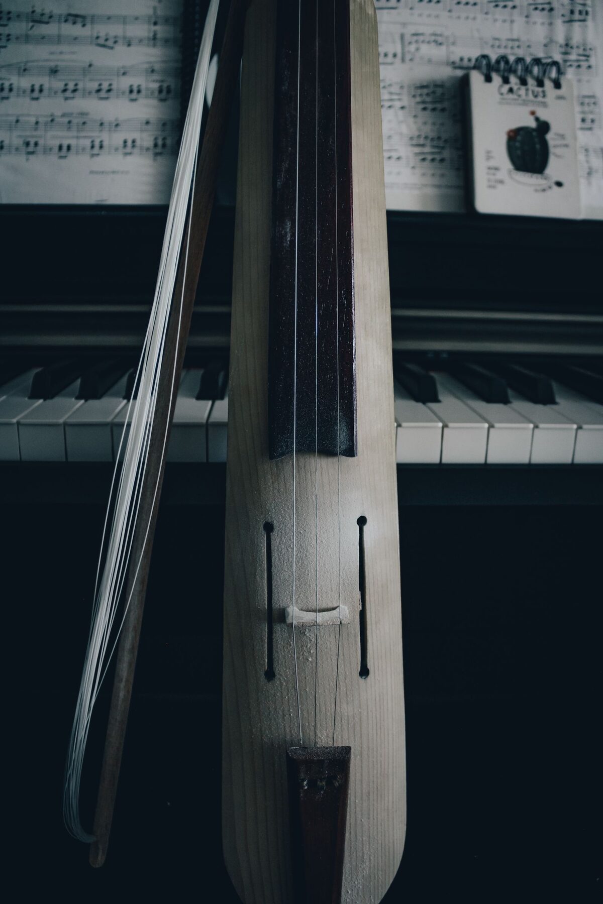 Close-up of stringed instrument with piano and sheet music