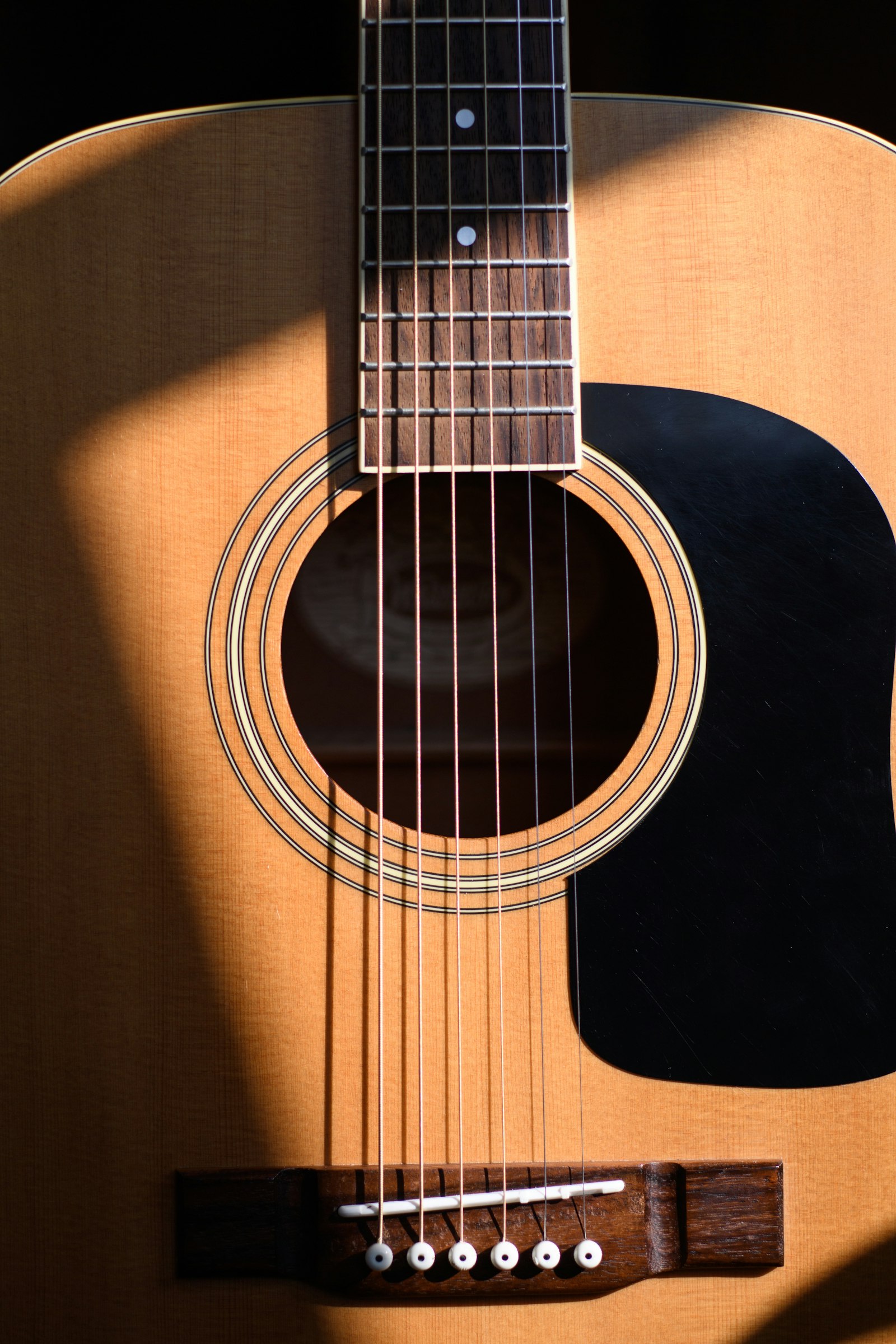 Acoustic guitar body and strings in natural light